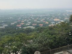 -上海佘山国家森林公园西佘山园