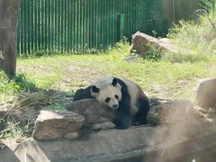-沈阳森林动物园