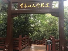 -紫金山山顶公园