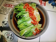 -酒阳蒸经小酒馆(解放碑店)