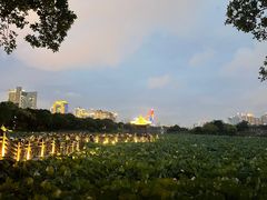 -南宁南湖公园
