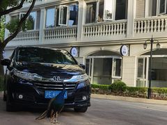 -J Create城市露营咖啡·简餐·宠物(上海动物园店)