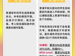 -菠萝国际教育专注Alevel·IGCSE·IB·AP·托福雅思培训辅导(静安校区)