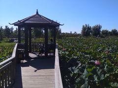 -羊亭河湿地公园