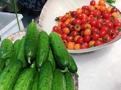 -鸽子窝(万丰路店)