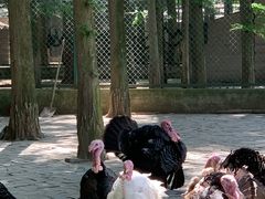 -南京金牛湖风景区