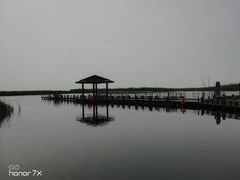 -太湖湖滨国家湿地公园-停车场