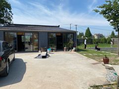 -南汇新场正宗水蜜桃采摘