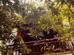 -秋霞圃
