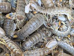 -海峡水产品交易中心(海鲜交易区)