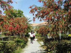 -惠州金海湾嘉华度假酒店