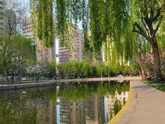 -团结湖公园