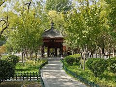 -莲湖公园
