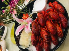 -新日月育才大酒店-中餐厅(环城北路店)