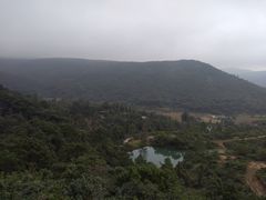 -大姆山草场