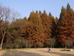 -杭州植物园
