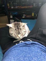 -幸运7纹身刺青Lucky7tattoo