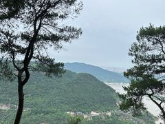 -铁山坪森林公园