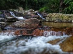 -广州市流溪河国家森林公园