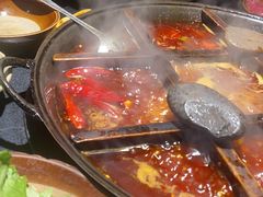 -洋马儿火锅(解放碑店)