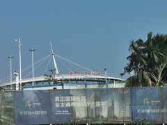 -港珠澳大桥(珠海段)