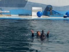 -北戴河圣蓝海洋公园