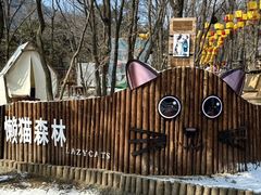 -沂蒙山旅游区云蒙景区(蒙山国家森林公园)