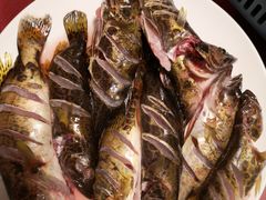 -生态苑农庄(十里画廊遇龙河店)