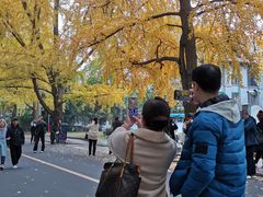 -四川大学(华西校区)