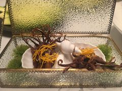 -迦南苑·新派青岛菜·生日纪念日主题餐厅