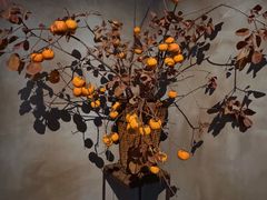 -曲廊院(东四十一条店)