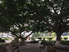-广东财经大学(广州校区)