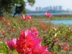 -露天矿生态公园