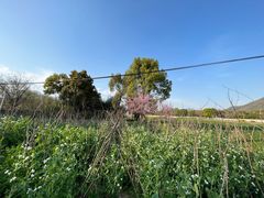 -楠溪江风景名胜区