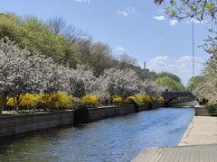 -海棠花溪(元大都城垣遗址公园)