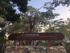 -梧桐山风景名胜区