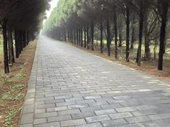 -秦始皇帝陵博物院-丽山园