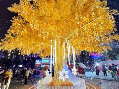 -友谊阳光城(金贸街道店)