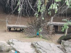 -南昌动物园