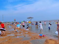 -碧海金沙