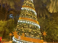 -广州富力丽思卡尔顿酒店