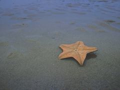 -枕海酒店(金沙滩海水浴场店)