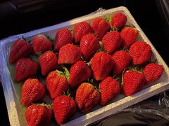 -红星农博物流中心