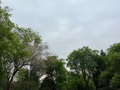 -北京西山国家森林公园