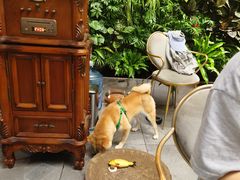 -后海16号·北京私房菜