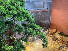 -皇厨荣升名厨家宴.赣州客家菜(金鹏怡和园店)