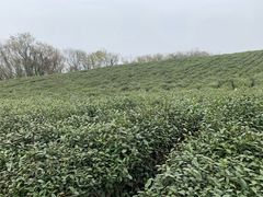 -南京市江宁方山