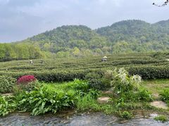-中国茶叶博物馆(双峰馆区)
