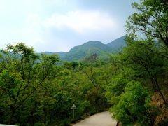 -阳台山自然风景区
