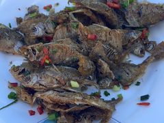 -黄牛肉馆·皖南土菜